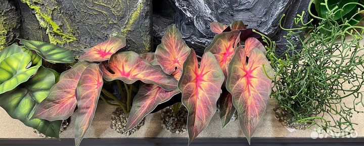 Уф лампа для террариума/растения/субстрат