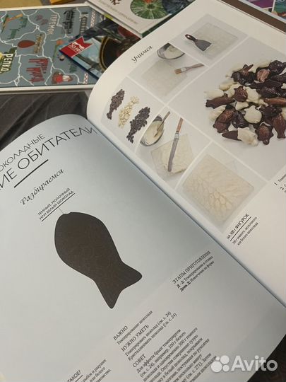 Большая книга шоколатье