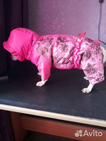 Комбинезоны для собак мелких пород