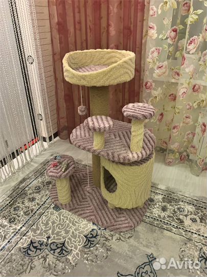 Когтеточка