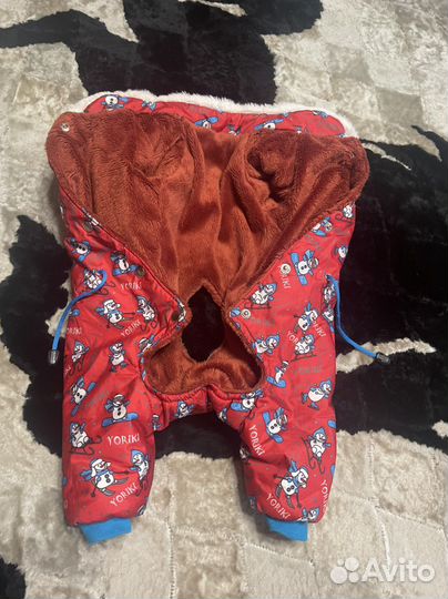 Комбинезон для собаки
