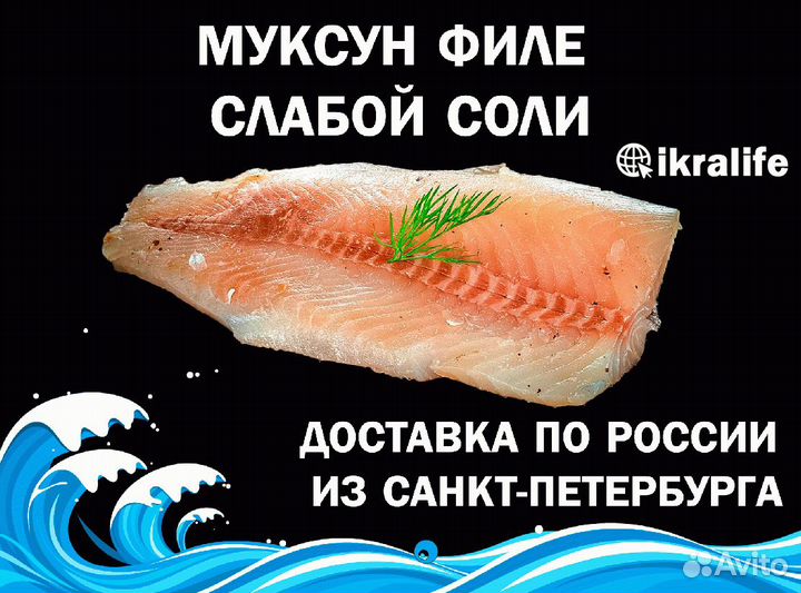 Муксун рыба филе слабой. Опт. Розница. Доставка сд