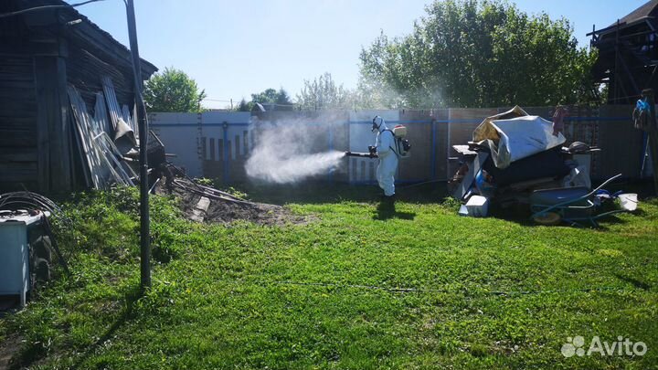 Уничтожение тараканов, клопов. Травить клещей,крыс