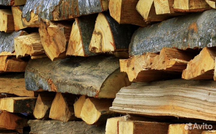 Дрова из Буратино