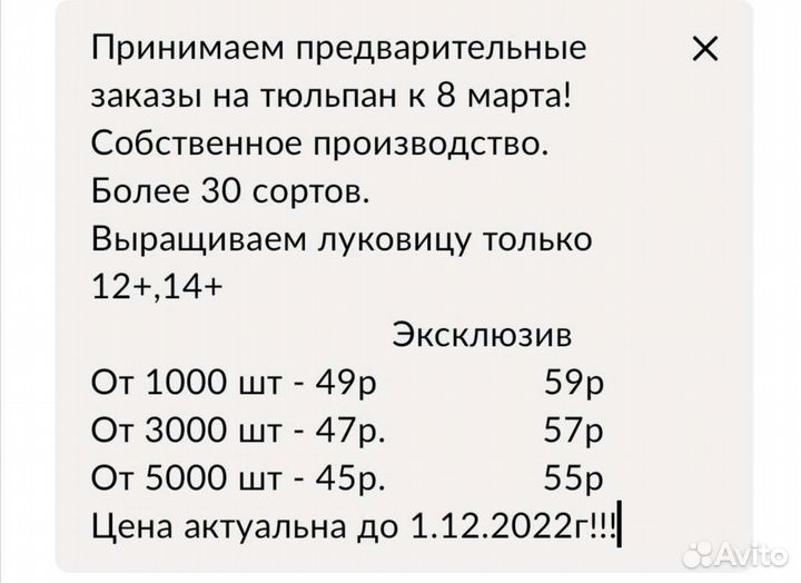 Цветы тюльпаны