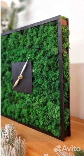 Часы со живым мхом