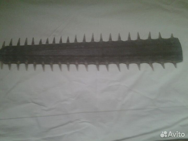 Нос рыбы пила