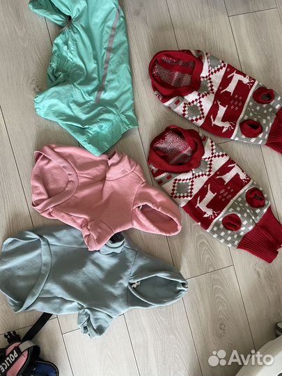 Одежда для средних собак