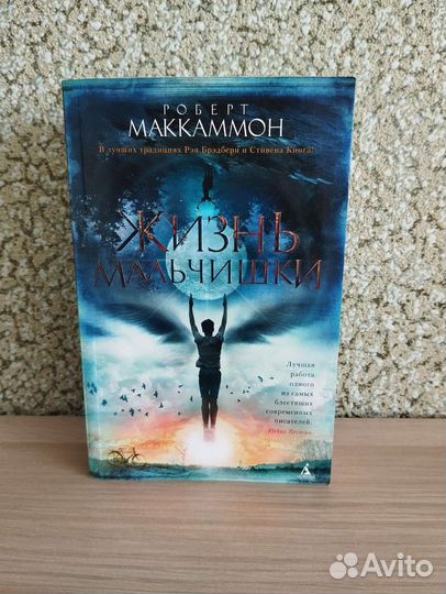 Жизнь мальчишки