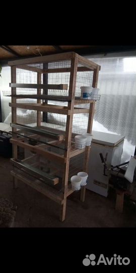 Клетки для кур несушек