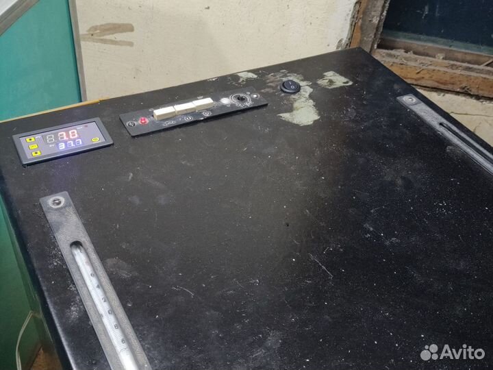 Инкубатор петушок