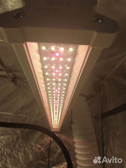 Quantum board BNL 100 W line