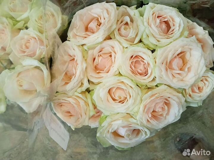 Букет из роз на заказ/Цветочные букеты