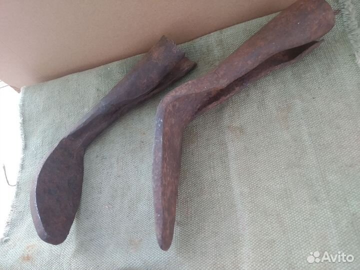 Лапа сапожная, СССР