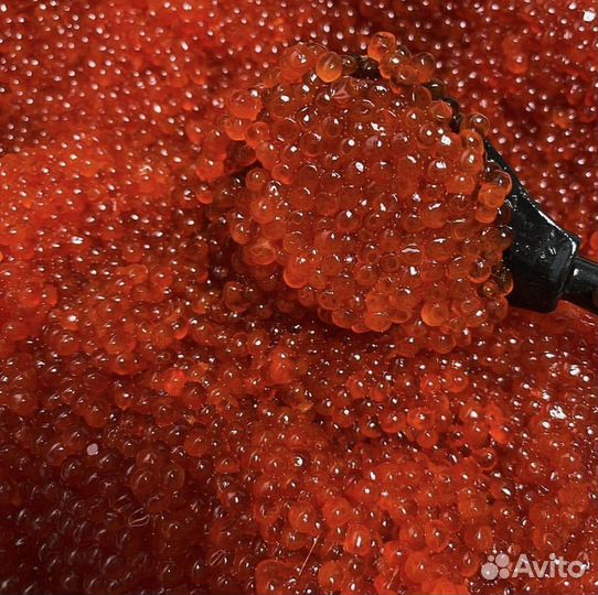 Икра Нерки опт 1000 г. Сахалин