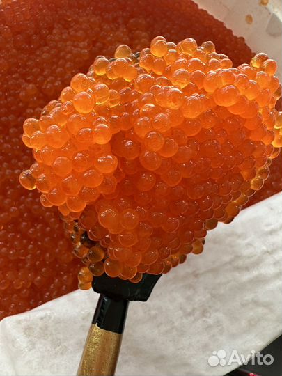 Икра форели