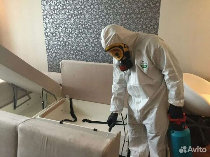 Дезинфекция от тараканов от клопов