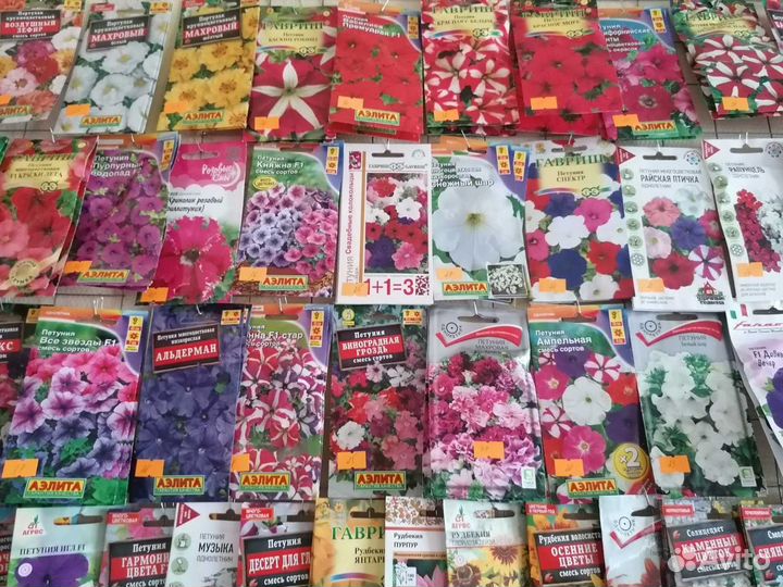 Семена. Доставка