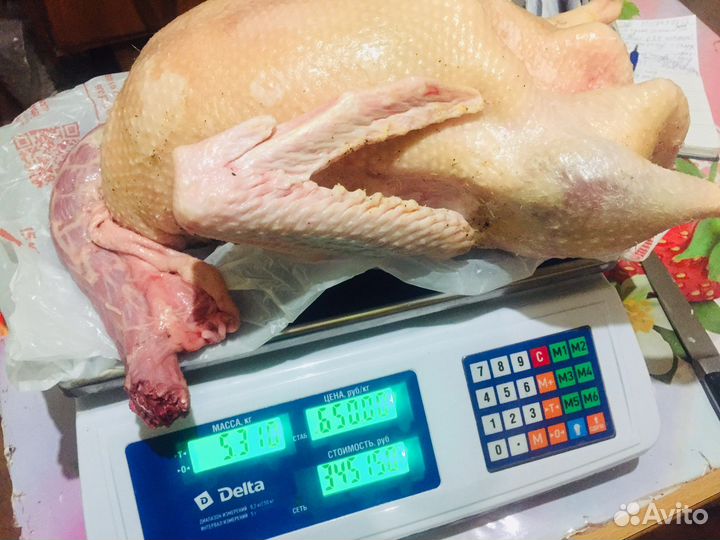 Молоко Козье-Тушка Гуся,Утки,перепёлки