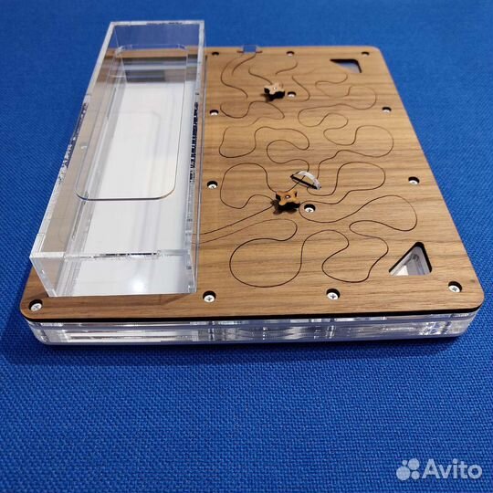 Новая Муравьиная ферма AntPlanet Американский орех