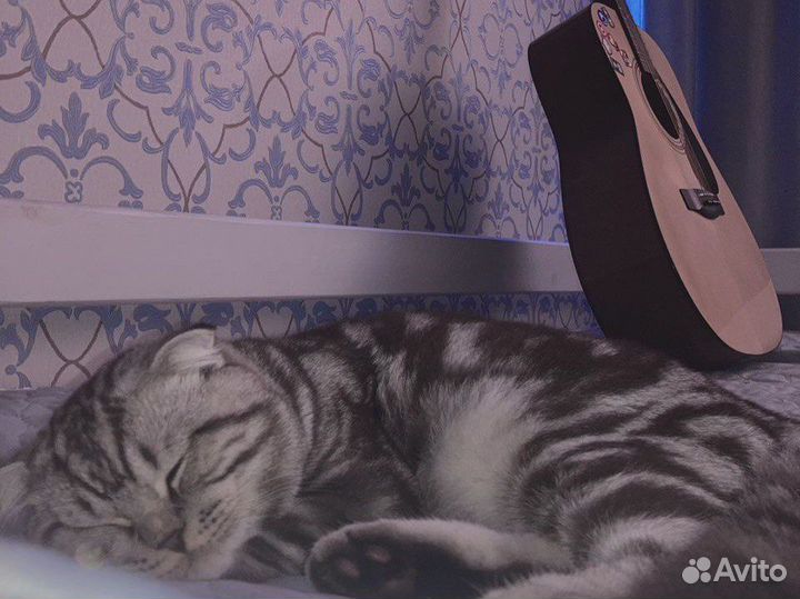 Студия звукозаписи eSound