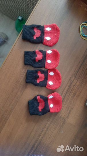 Носки для маленькой собачки