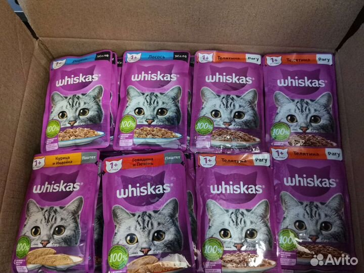 Pro Plan, Wiskas, Kitecat, Chappi, Purina One