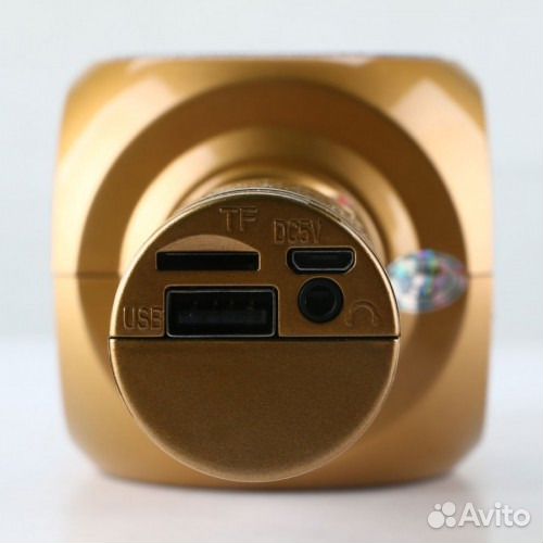 Микрофон со встроенной колонкой Wster WS-1816 ориг