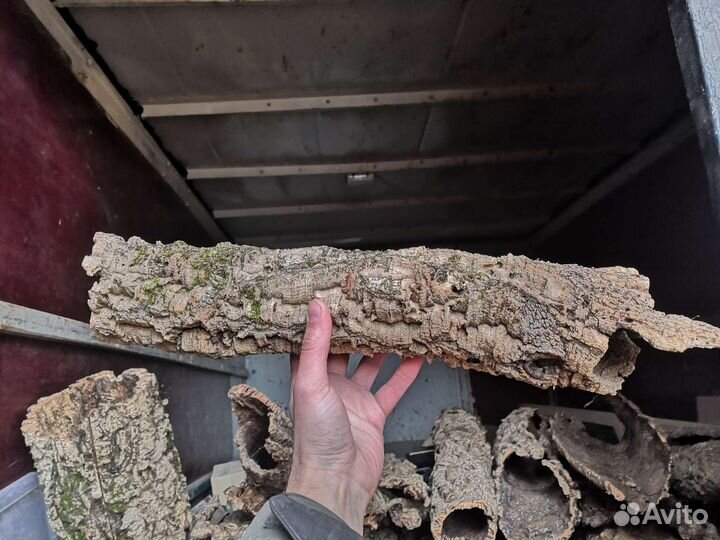 Кора пробкового дуба