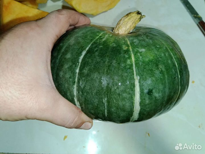 Семена тыквы и арбуза