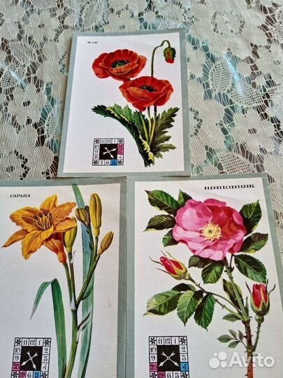 Открытки СССР часы растения