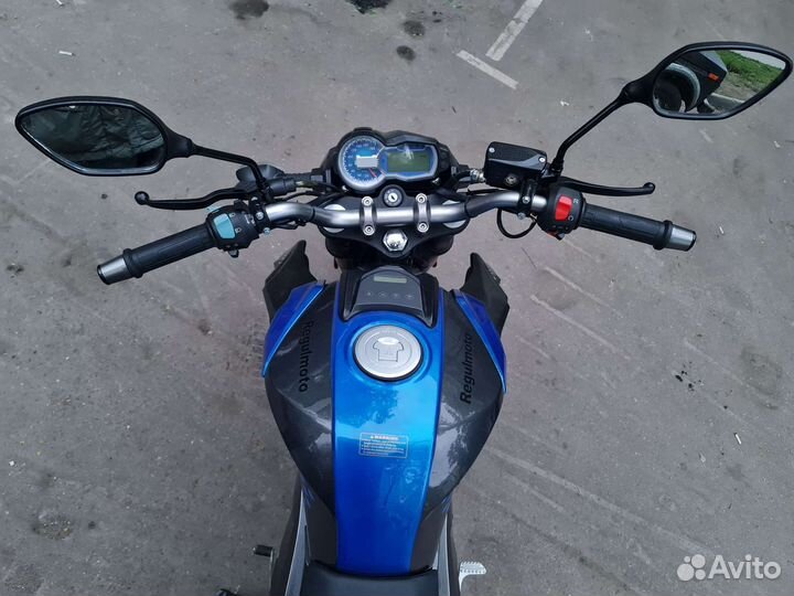 Regulmoto T-Leopard 300