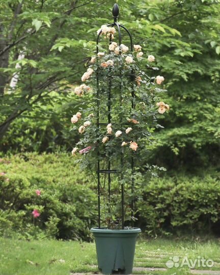 Садовая опора для роз клематисов и вьющихся