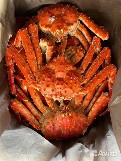 Рыба, краб, морепродукты. Опт. Отправка в регионы