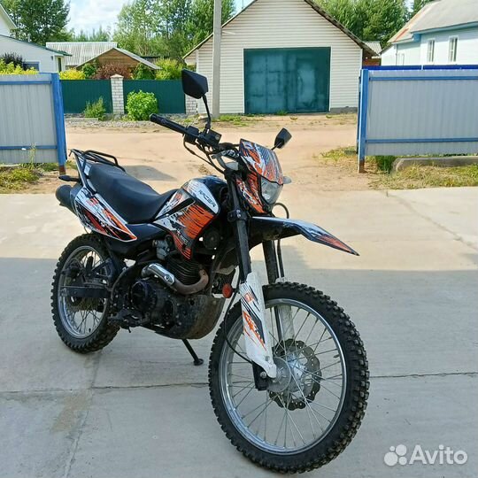 Racer Panther 300