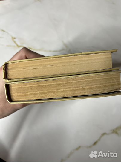 Домби и сын. Чарльз Диккенс в 2 томах