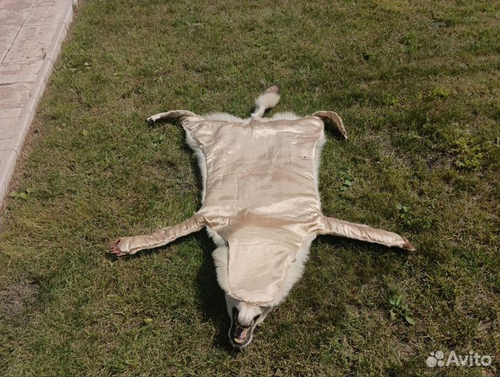 Шкура волка