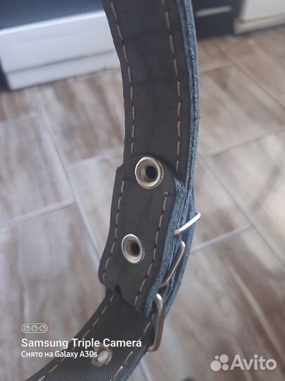 Ошейник для собак средних пород