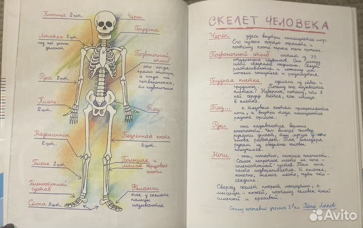 Неболейка И. Соковня, книга