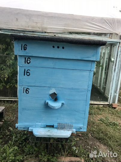 Пчелы с ульями