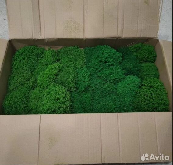 Мох для интерьерных работ для кашпо и реек декор