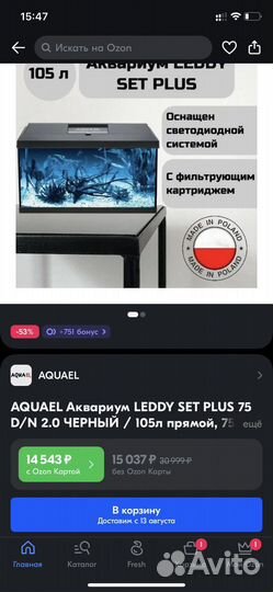 Аквариум 100 литров (цихлиды)