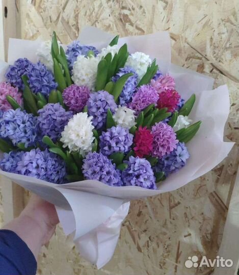 Гиацинты Букет гиацинтов