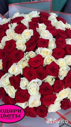 Розы выращенные в России, Армении, Эквадор