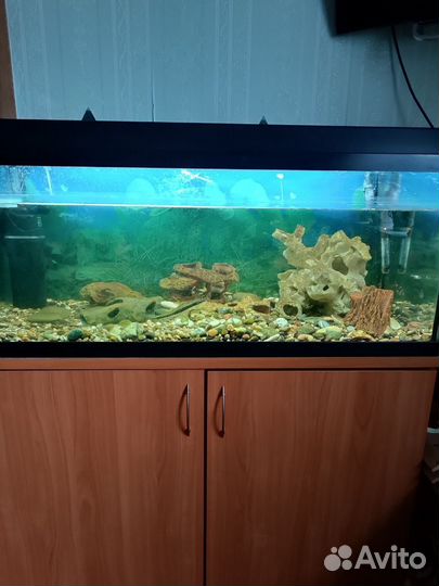 Аквариум 120литров б/у с тумбой торг