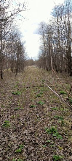 Участок 100 сот. (СНТ, ДНП)