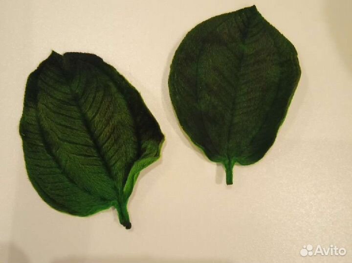 Листья стабилизированные