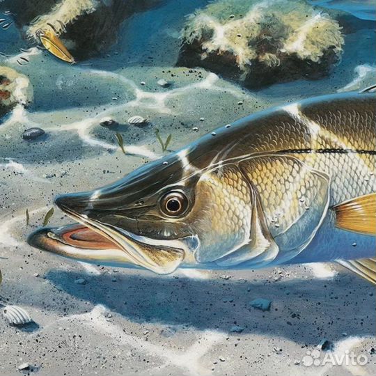 Катушка dayo ETE байтранер запас шпуля