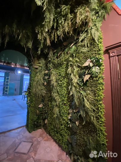 Искусственная зелень. Озеленение. Мох. Фитостена