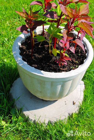 Кашпо из бетона